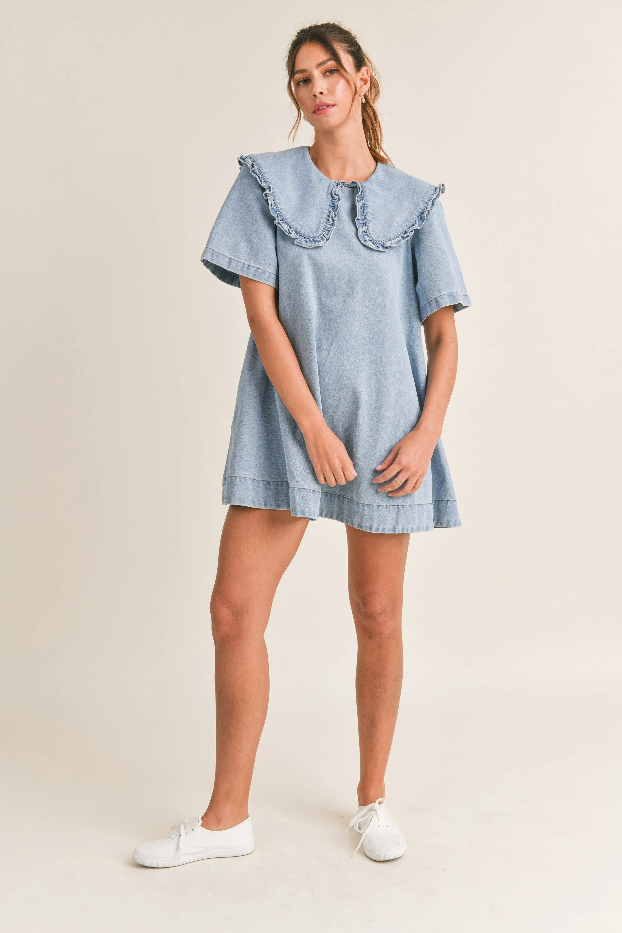 Baker Denim Dress