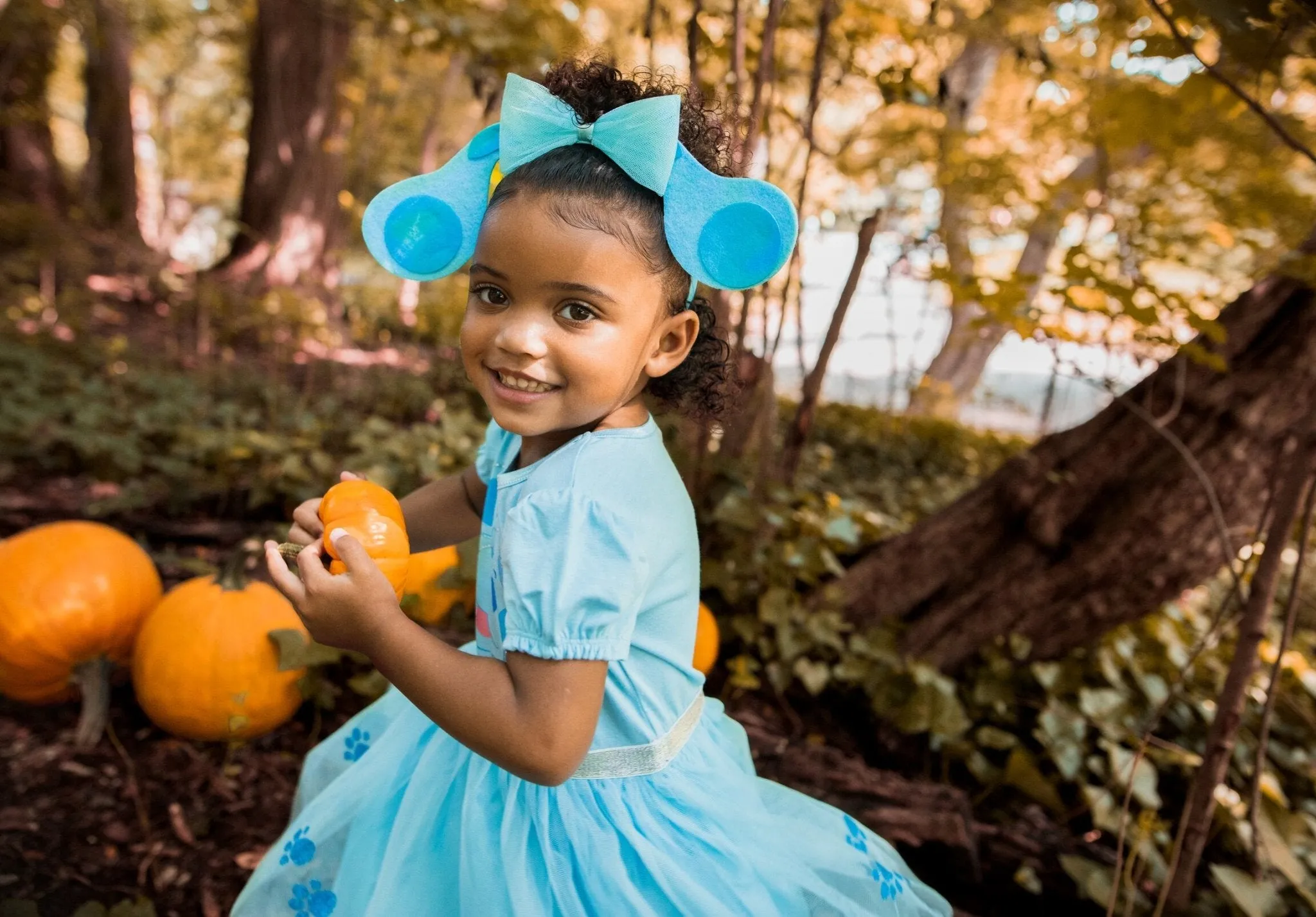 Blue's Clues & You! Costume Dress and Headband