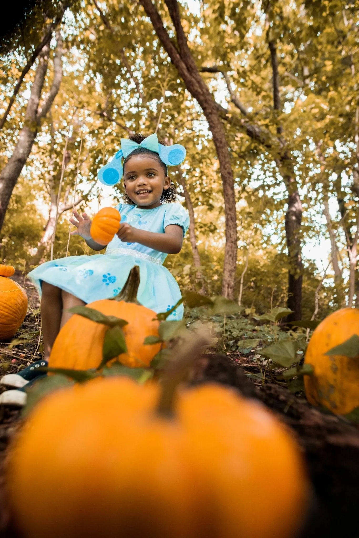 Blue's Clues & You! Costume Dress and Headband