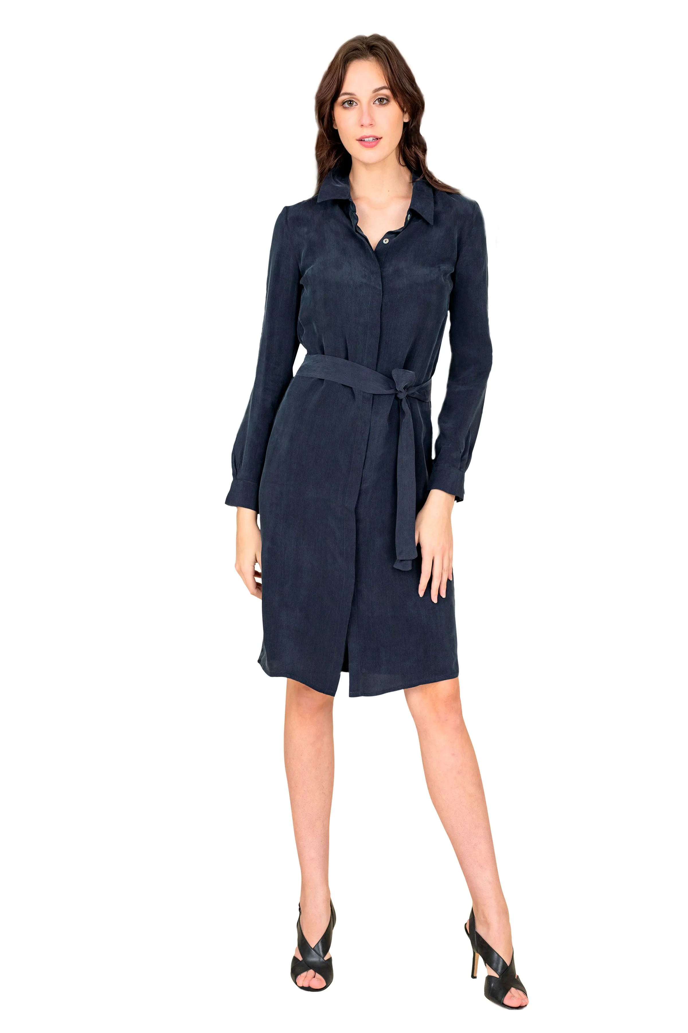 The Silk Navy Blue Dress